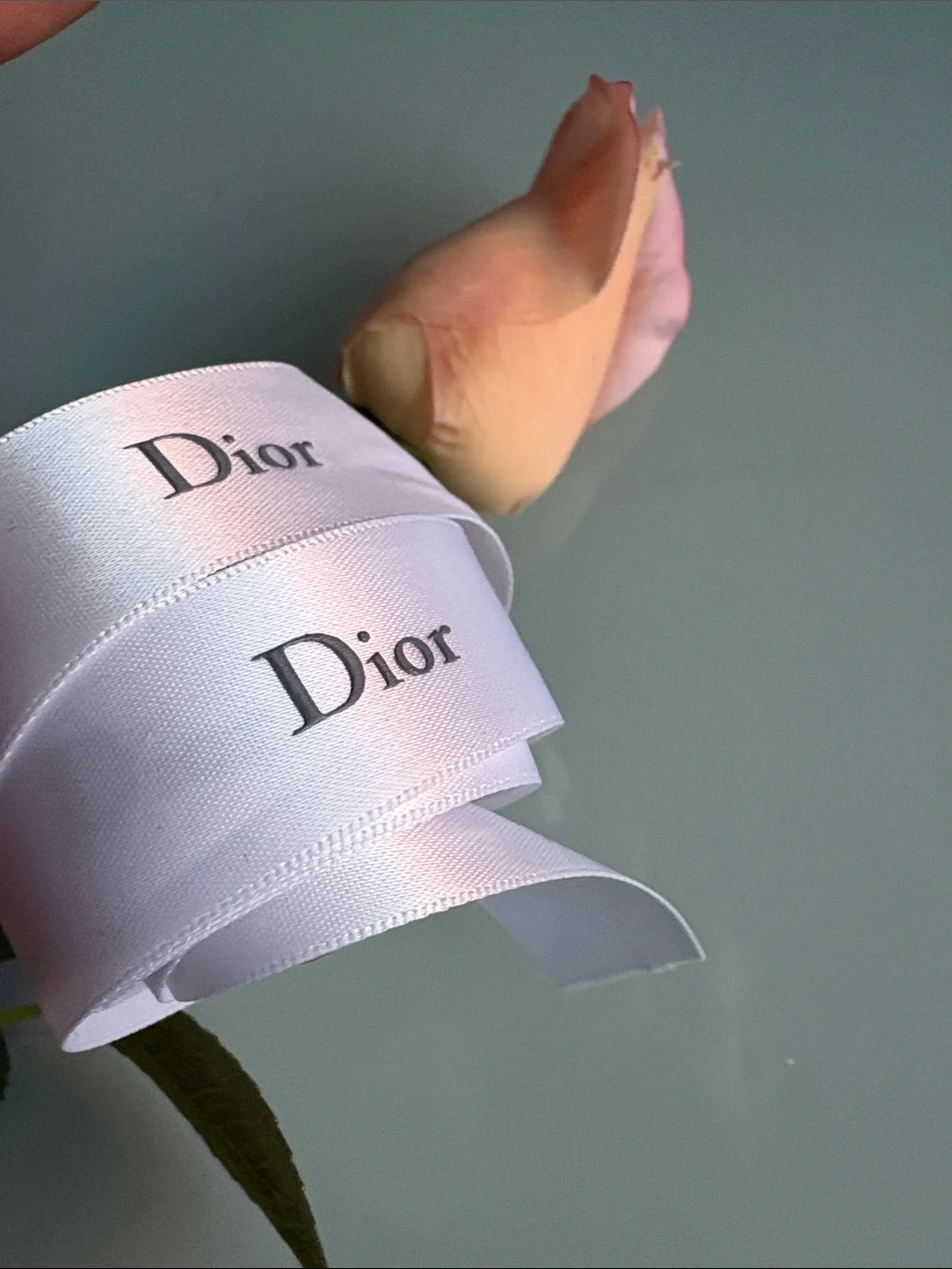 Dior White Logo Satin Ribbon